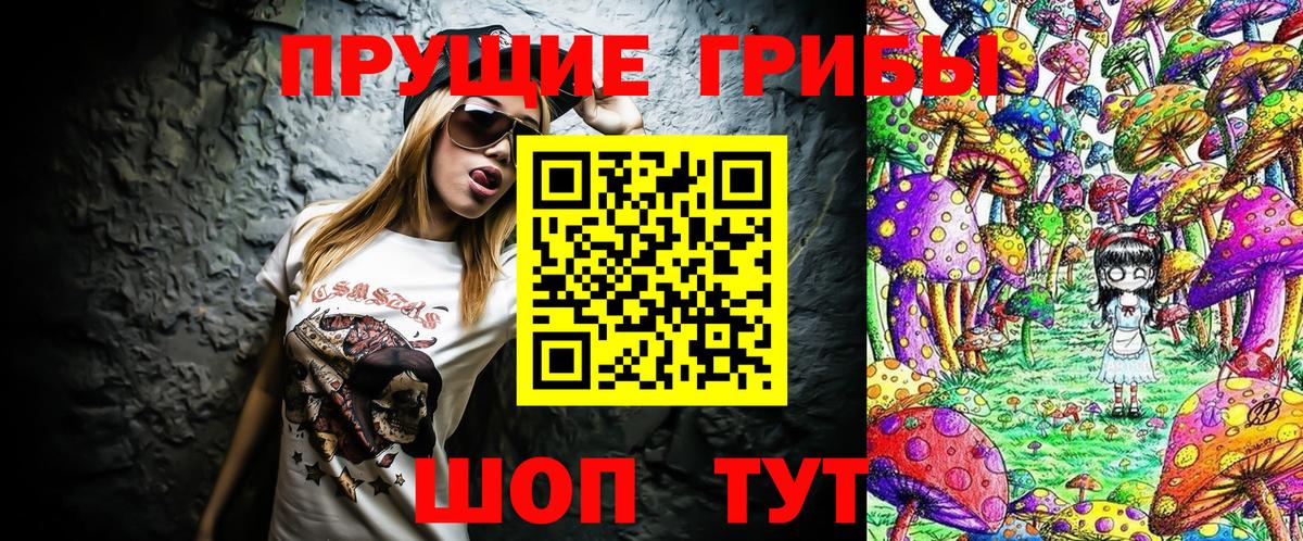 Нарткала  Галлюциногенные грибы Psilocybine cubensis  Вход с VPN 